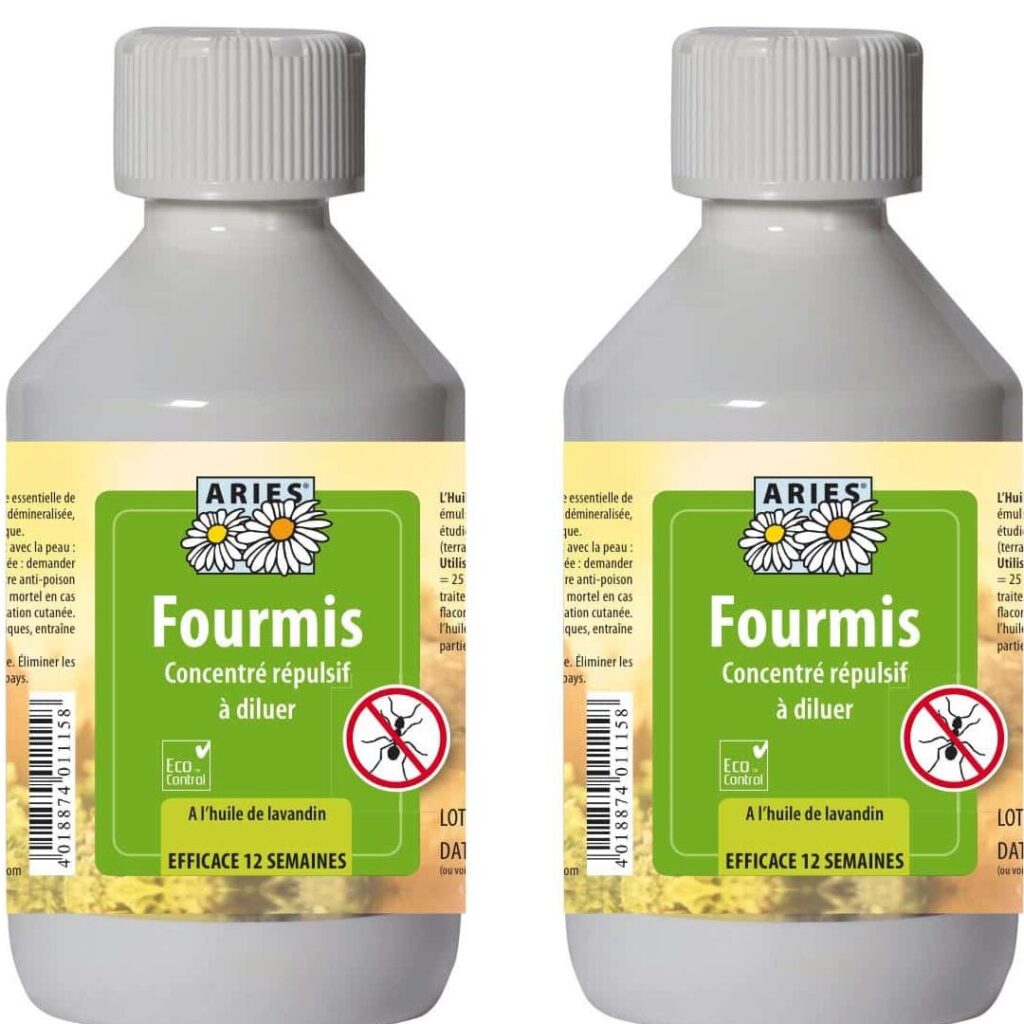 Éliminez les fourmis avec notre solution anti-fourmis efficace ...