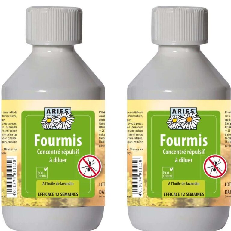 eliminez les fourmis avec notre solution anti fourmis efficace