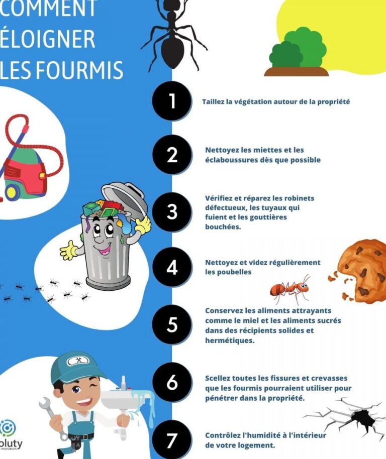 eliminez les fourmis rapidement et efficacement