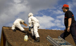 eliminez-les-frelons-avec-un-fumigene-cheminee-efficace