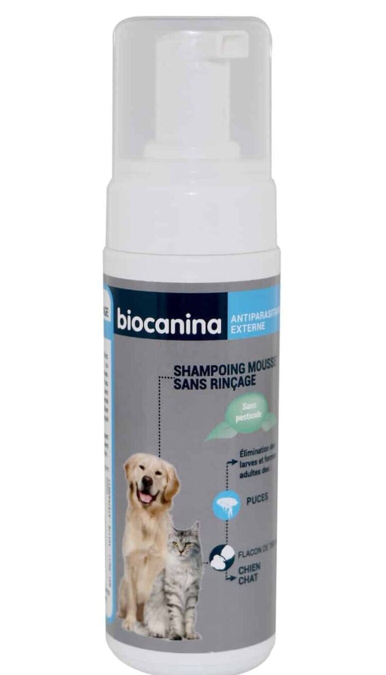 eliminez les larves de puces efficacement avec nos solutions antiparasitaires