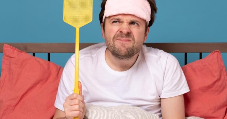 eliminez les moustiques conseils et astuces anti nuisibles
