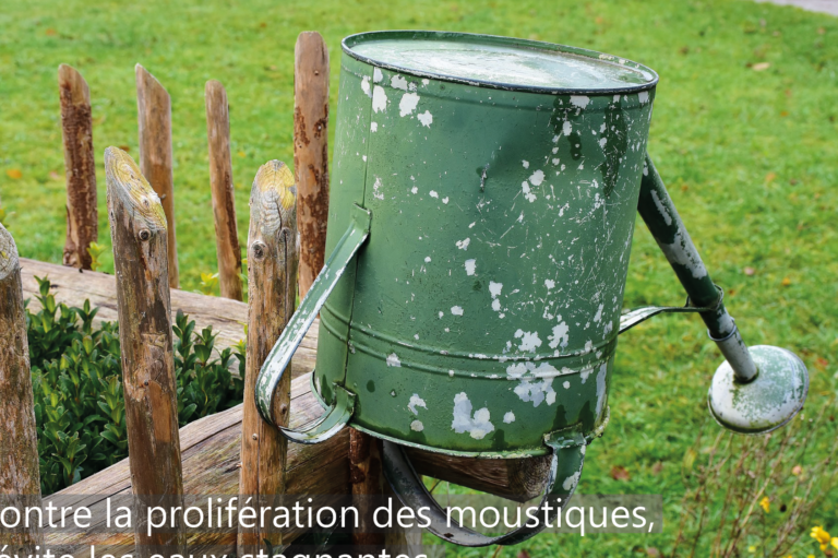 eliminez les moustiques dans vos etangs avec nos bombes antiparasitaires
