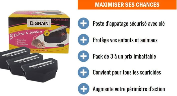 eliminez les souris dans vos murs avec nos conseils de lutte antiparasitaire