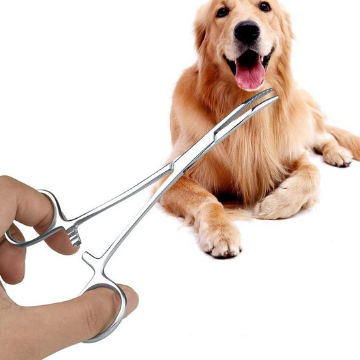 eliminez les tiques sur les chiens grace au peroxyde dhydrogene