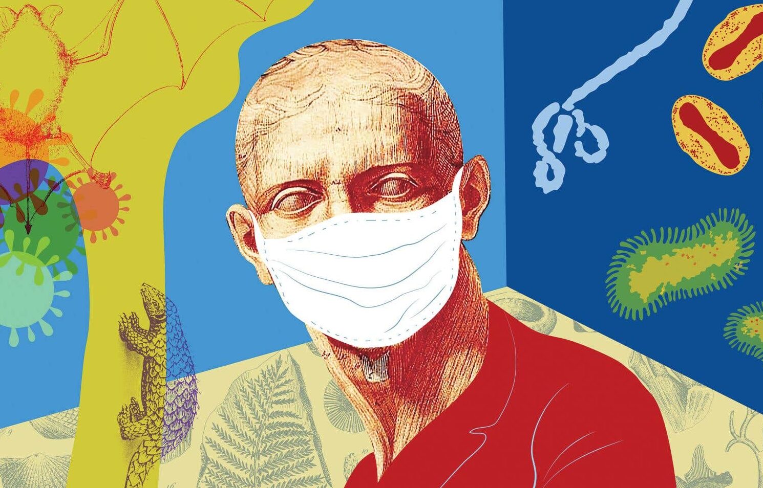 epidemie animale comment prevenir la propagation dune maladie