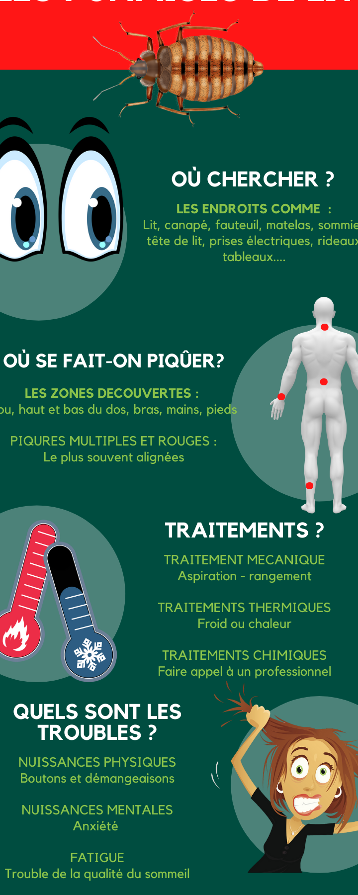 eradication efficace des punaises de lit guide complet
