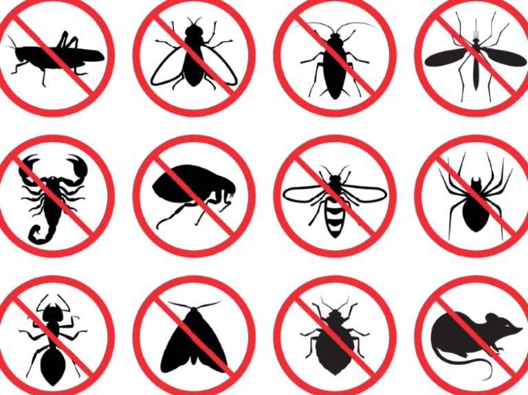 ete de son conseils pour prevenir les nuisibles sonores