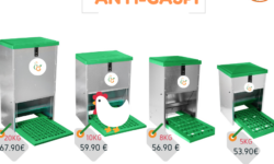 etoiles-dans-le-grenier-guide-de-lutte-antiparasitaire-pour-les-nuisibles-domestiques