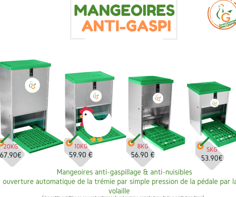 etoiles dans le grenier guide de lutte antiparasitaire pour les nuisibles domestiques
