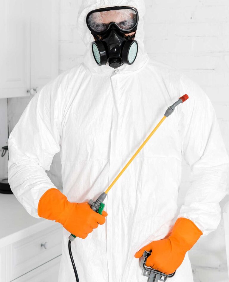 expert en lutte antiparasitaire a baton rouge controle des rongeurs garanti