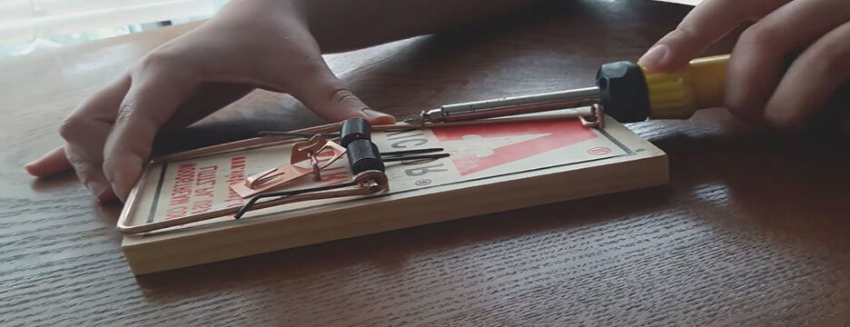 Experts en contrôle des rongeurs à Santa Barbara 1 experts en controle des rongeurs a santa barbara