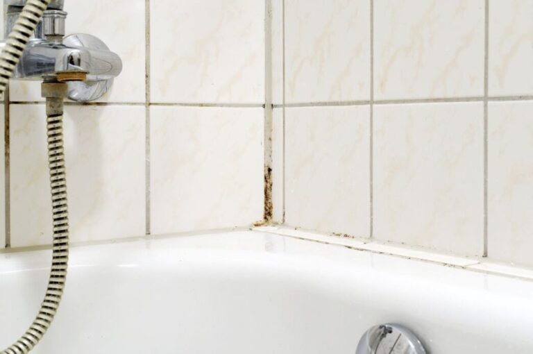 fourmis dans la salle de bain causes et solutions