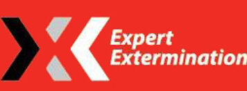 gadino branch in la solution experte en lutte antiparasitaire