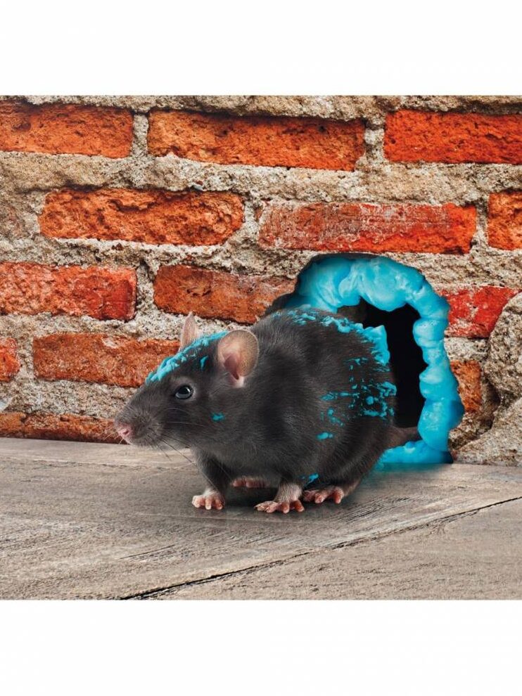 gel anti souris pour cloisons une solution efficace contre les nuisibles