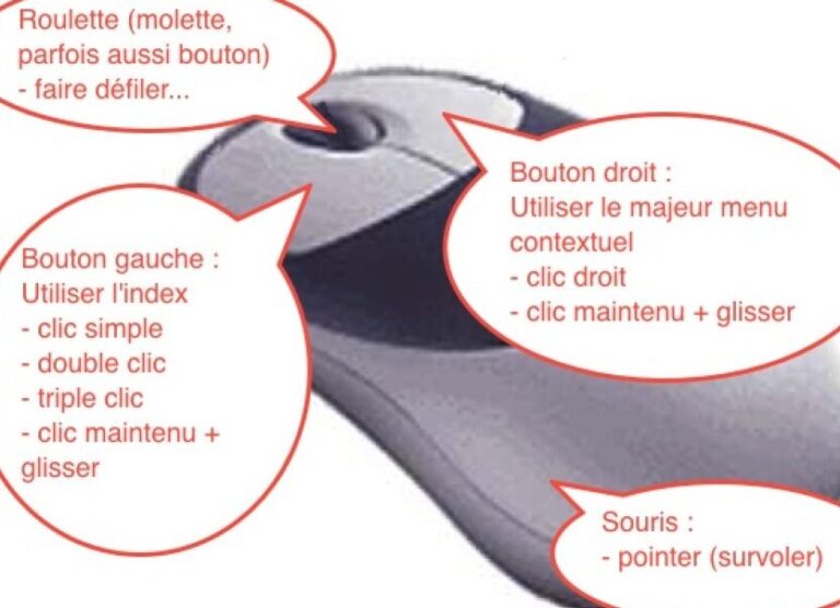 groupe de souris definition et caracteristiques