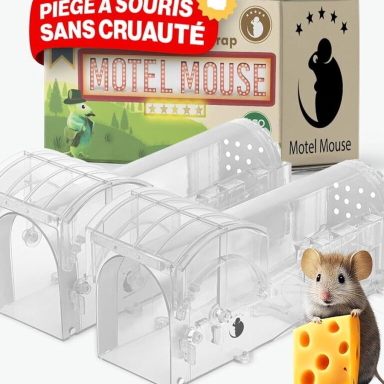 guide complet de prevention contre les rongeurs conseils et astuces