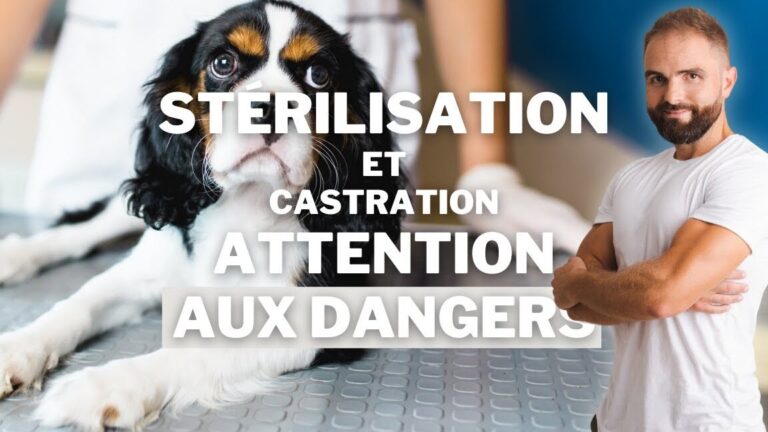 guide complet pour leradication des nuisibles avis dexperts