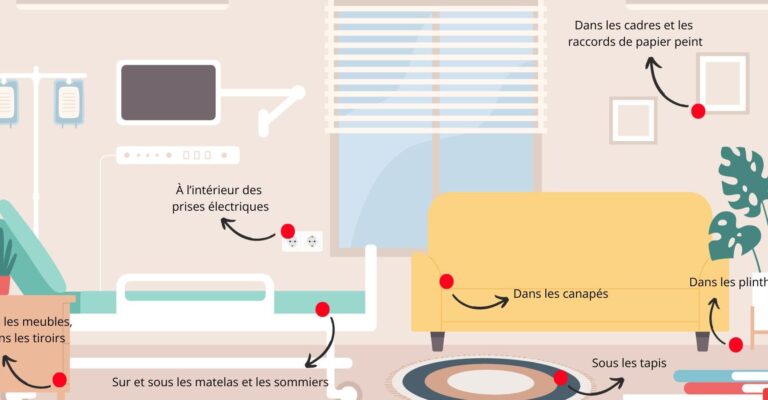 guide pratique diagramme des punaises de lit pour lutter contre les infestations