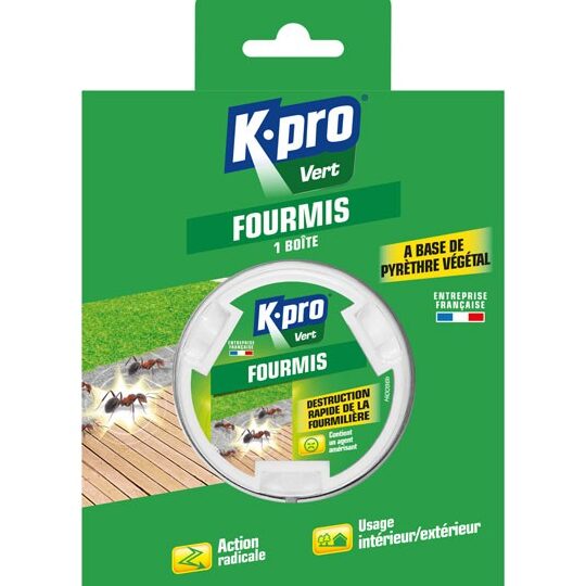 guide pratique eliminer les fourmis dans votre voiture facilement