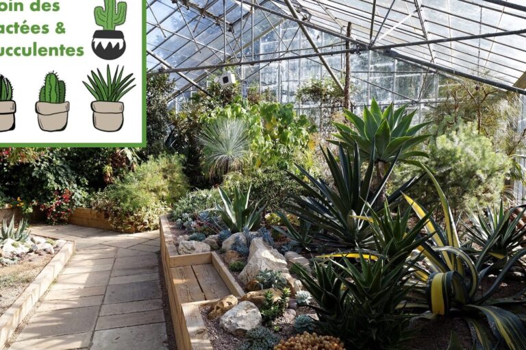 guide pratique pour eloigner les insectes du patio avec succes