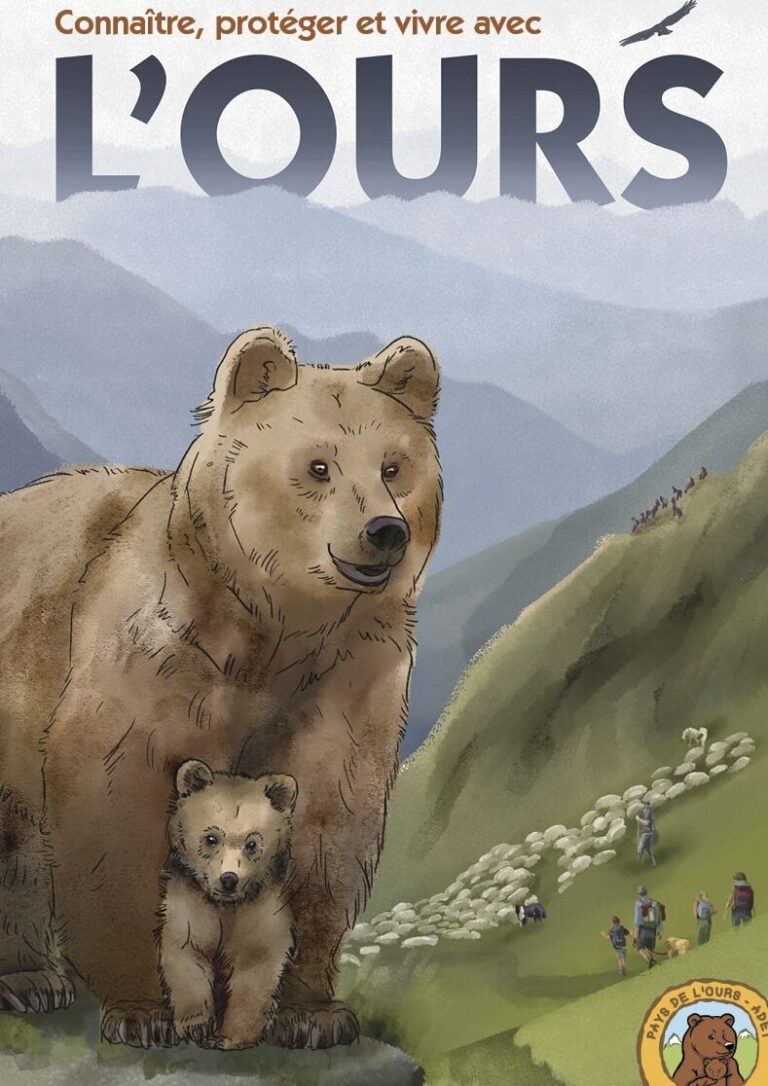 guide pratique pour eloigner les ours astuces et conseils