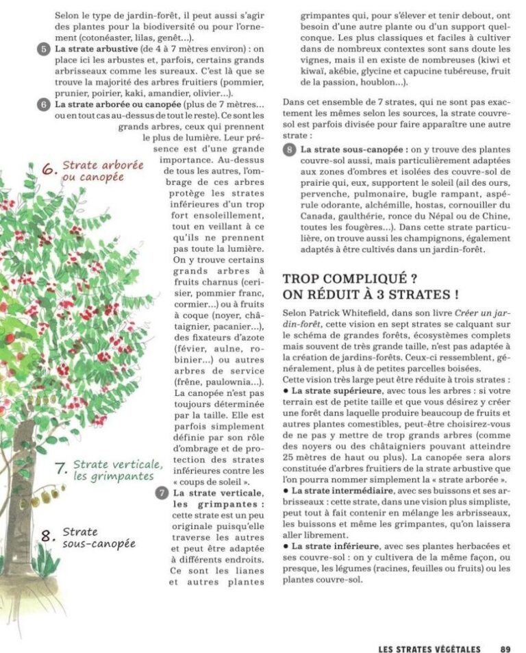 guide pratique pour lentretien du paysage commercial conseils et astuces