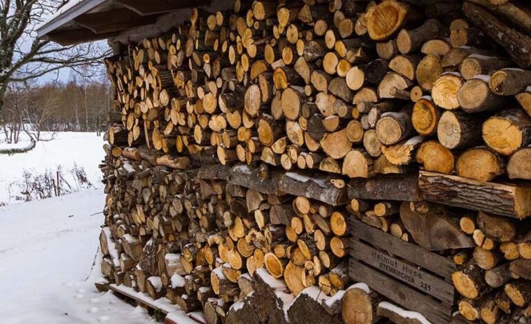 guide pratique pour stocker efficacement le bois de chauffage