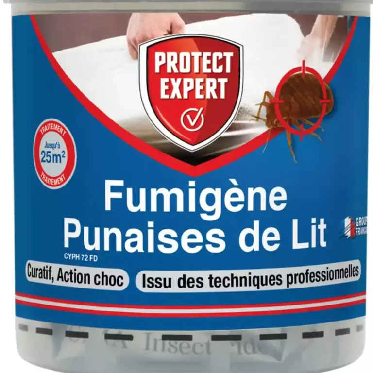 guide ultime pour eradiquer efficacement les fourmis