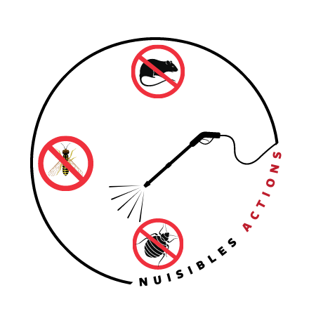 identifiez les presences indesirables chez vous guide antiparasitaire pour la lutte contre les nuisibles