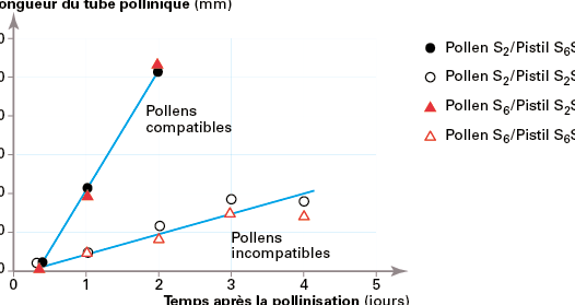 incompatibilite genetique les chats et les ratons laveurs peuvent ils saccoupler
