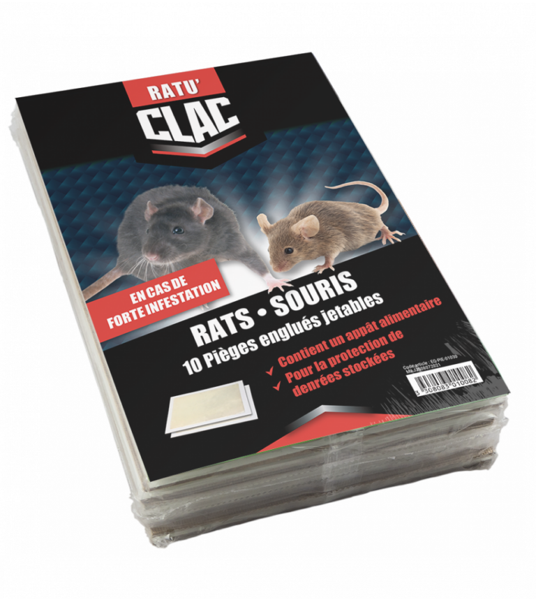 infestation de souris quel nombre est considere comme critique