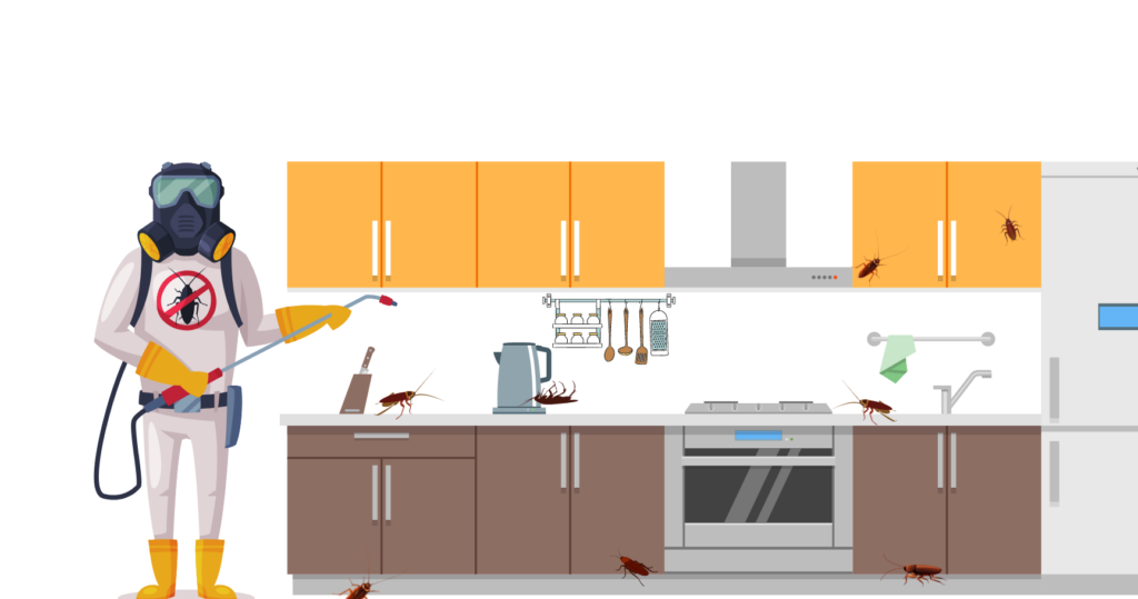 Insectes de cuisine : Guide complet pour une lutte efficace contre les ...