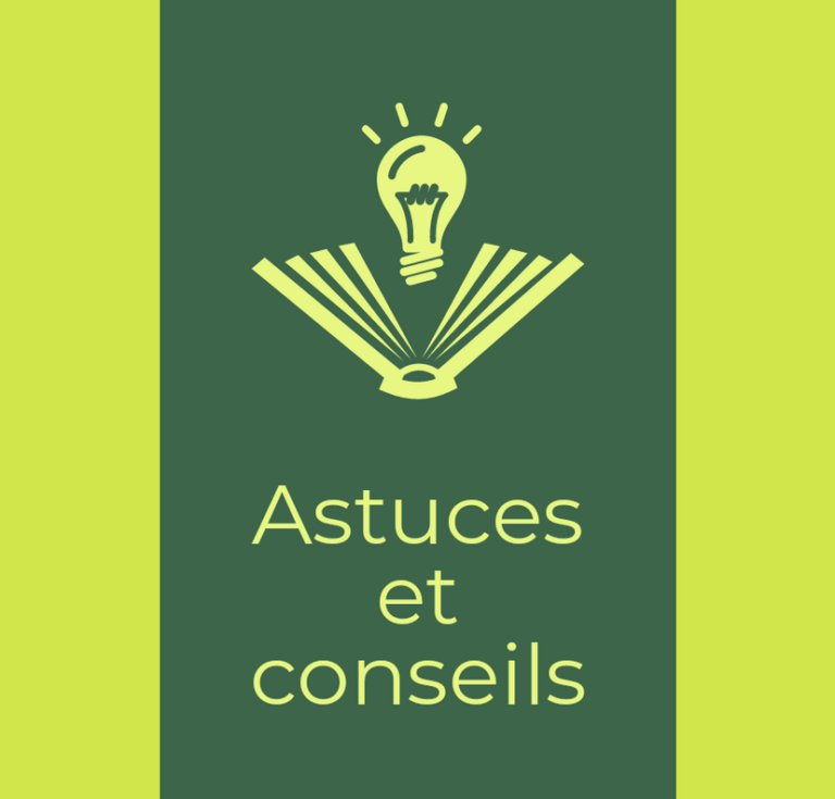 insectes dhotel guide des nuisibles les plus courants