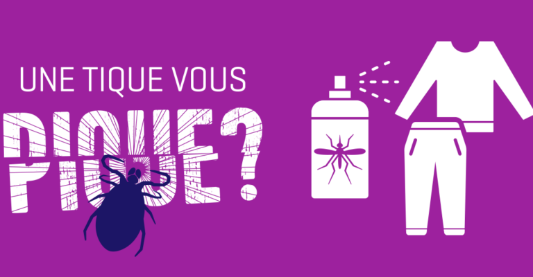 insectes ressemblant a des graines de pavot identification et prevention