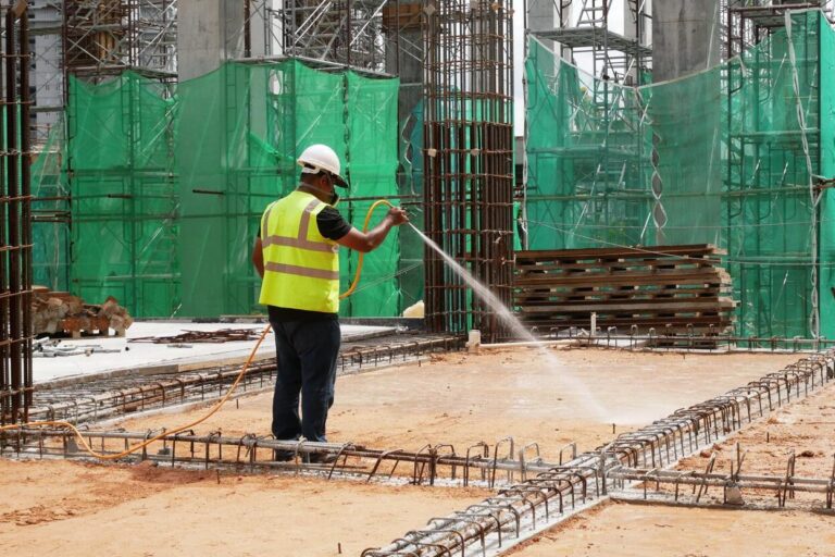 inspection commerciale termites comment prevenir les ravages