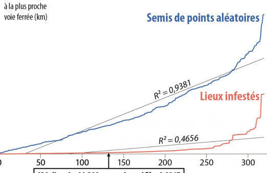 inspection termites detecter et eliminer les nuisibles du desert du palmier