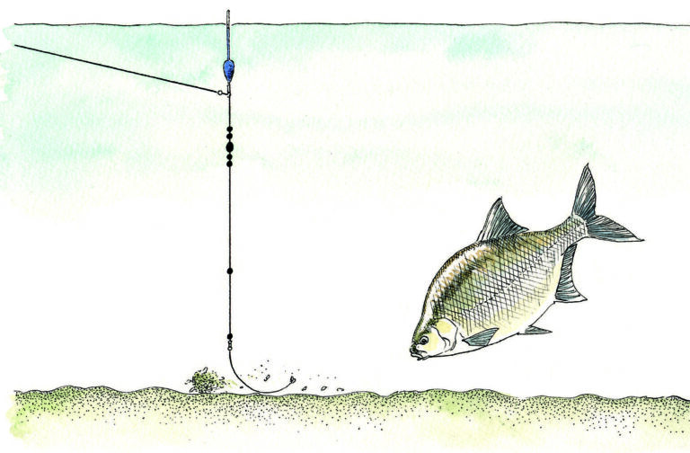 invasion de gardons comment empecher ces poissons dentrer dans votre voiture