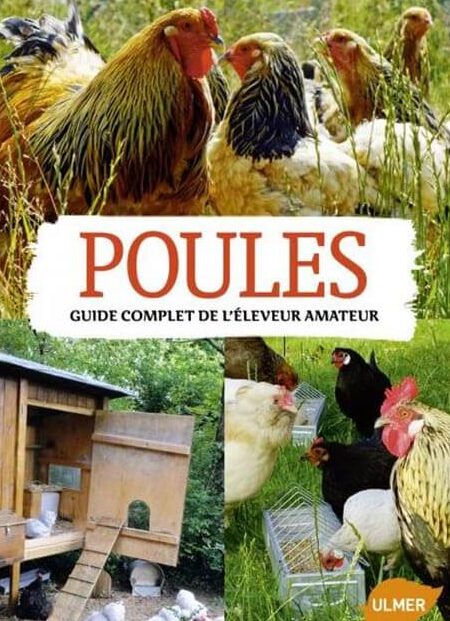 jardin en fil de poulet une solution astucieuse pour proteger vos cultures