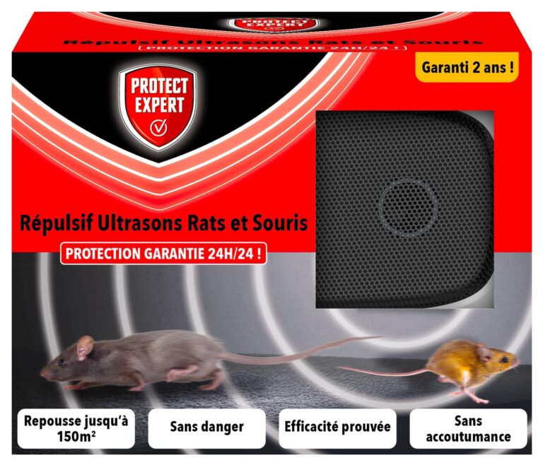 la lutte contre les souris de chat conseils et solutions efficaces