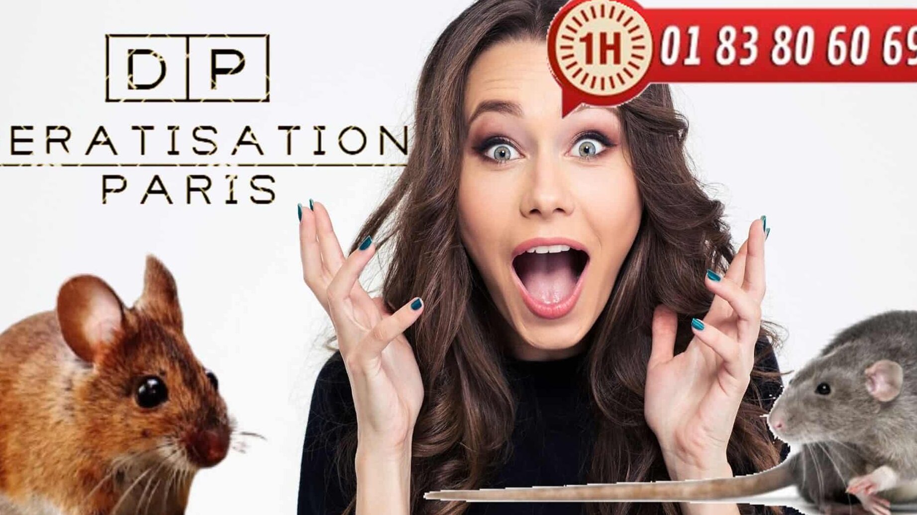 la maison sud guide pratique pour une lutte antiparasitaire efficace