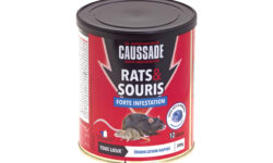 la-solution-infaillible-pour-une-lutte-efficace-contre-les-rats-mort-aux-rats