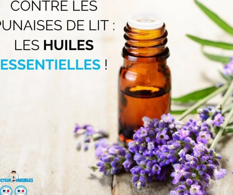 lalcool isopropylique un remede efficace contre les punaises de lit