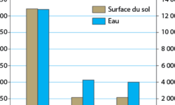 larmee-se-nourrit-dinsectes-une-solution-etonnante-et-durable