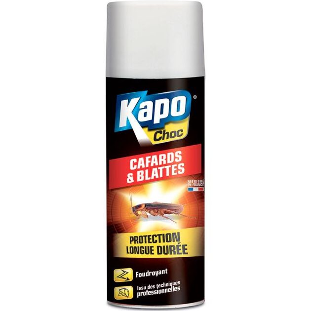 lavande un repulsif naturel contre les cafards