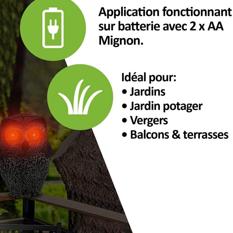 le faux hibou tout ce que vous devez savoir sur ce predateur naturel des nuisibles