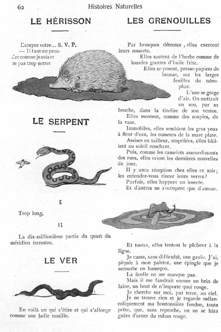 le mystere du chant des grenouilles pourquoi croak ent elles