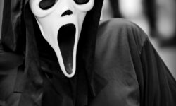 le-tueur-doreilles-ultime-decouvrez-le-meilleur-moyen-de-vous-en-debarrasser