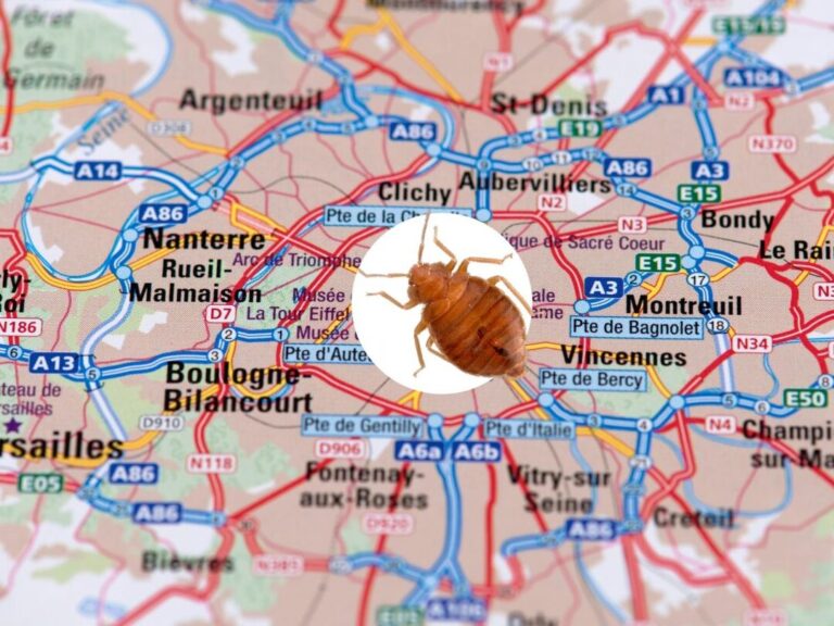 les cachettes infaillibles pour eliminer les nuisibles