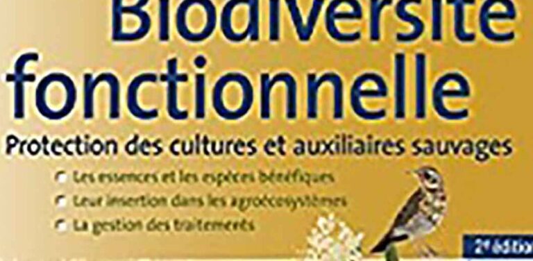 les oiseaux predateurs de termites une solution naturelle contre les nuisibles